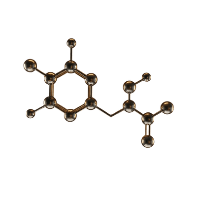 Acetyl-L-Carnitine (ALCAR)